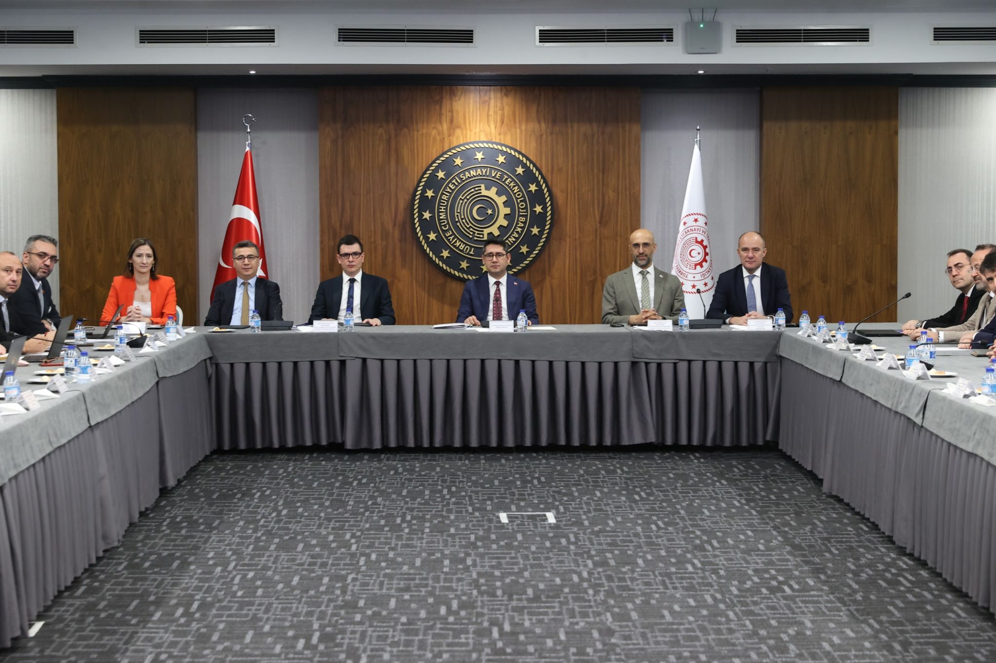 DAP İzleme ve Yönlendirme Komitesi